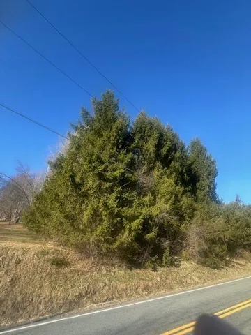 $115,000 | 927-943 Briscoe Road, Swan Lake, NY 12783