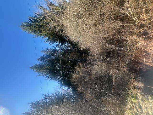 927-943 Briscoe Road Swan Lake, NY 12783 - Photo 13 of 13