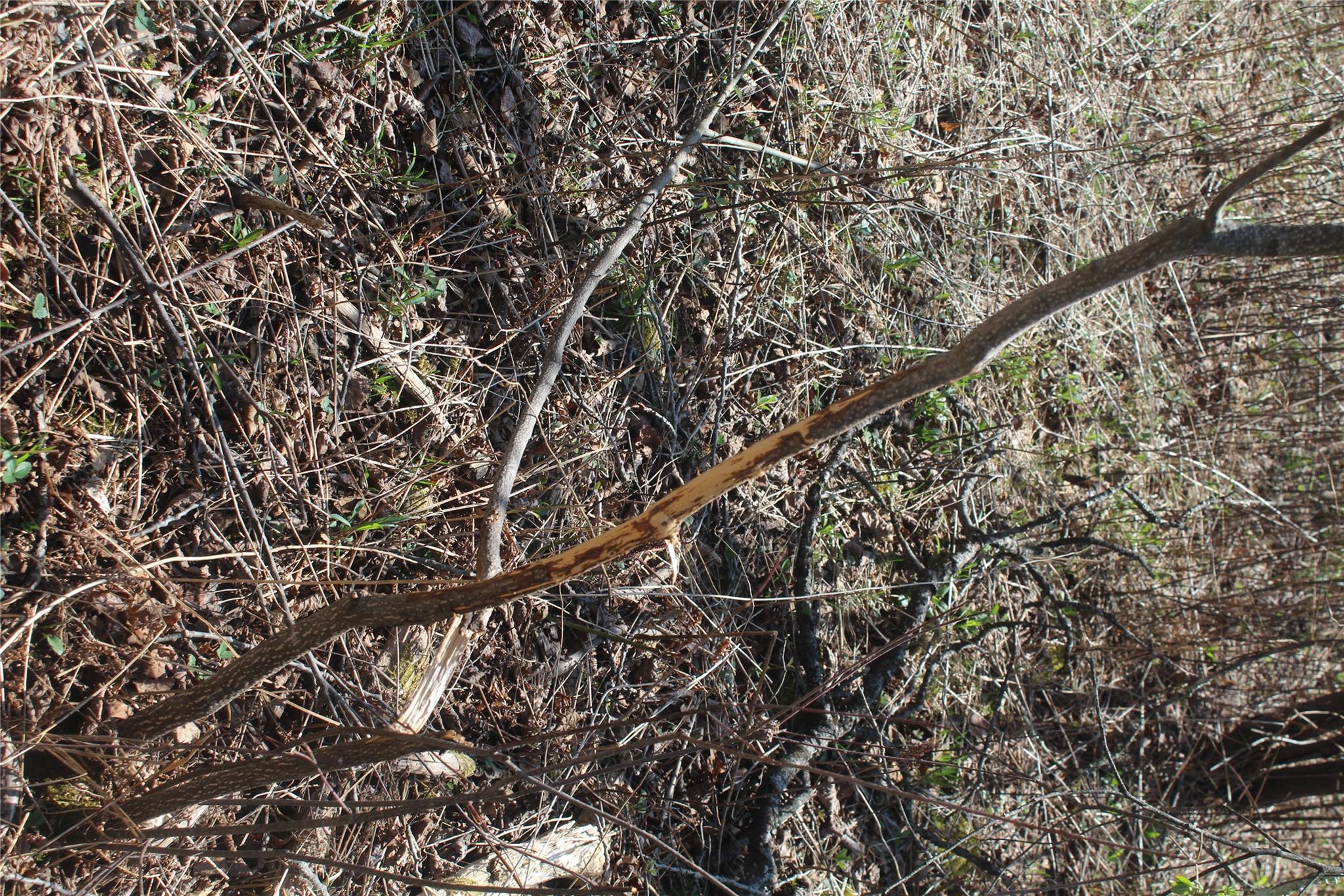 927-943 Briscoe Road Swan Lake, NY 12783 - Photo 9 of 13