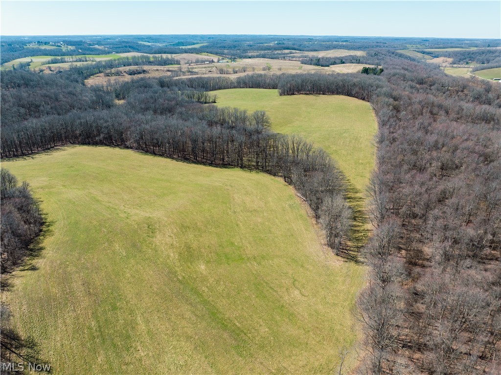 Burrier Road Jewett, OH 43986 - Photo 4 of 7