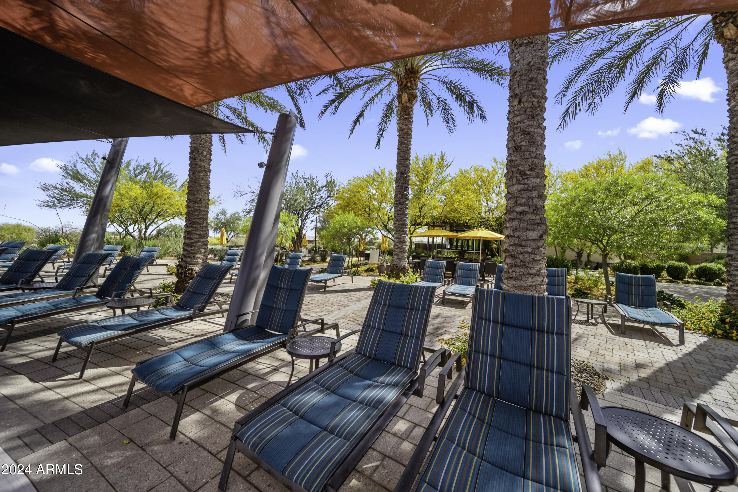 17654 Blaze Lane Rio Verde, AZ 85263 - Photo 43 of 75 4Community Pool