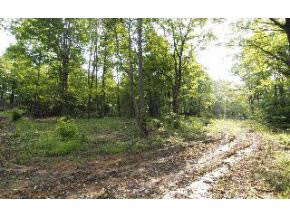 8000-block West Hendricks Road Bloomington, IN 47403 - Photo 1 of 6 Gallery Image 1