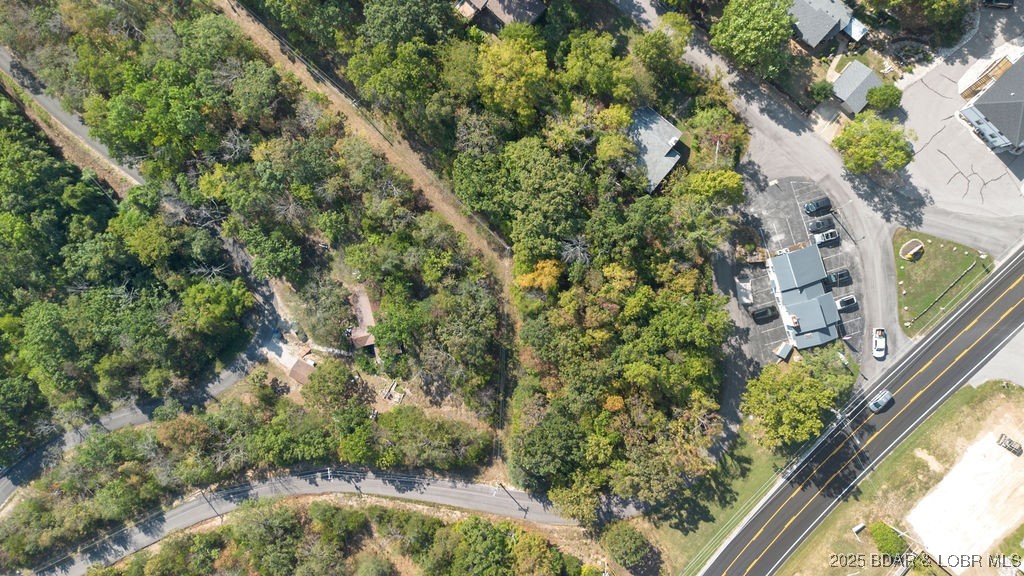 Arrowhead Beach Rd Lake Lake Ozark, MO 65049 - Photo 10 of 16