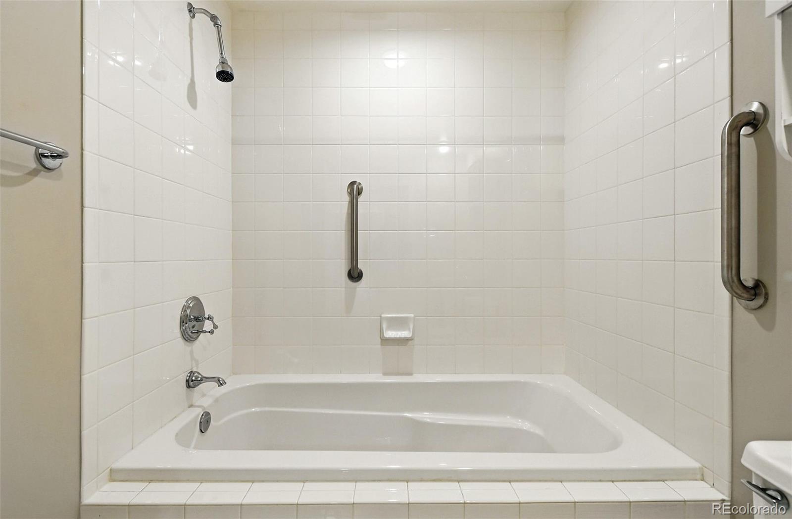 1631 Emerson Street, Unit 207 Denver, CO 80218 - Photo 22 of 30 a close view of a bathtub in bathroom