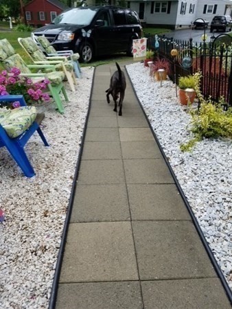 8 Pine Tree Trail Westford, MA 01886 - Photo 34 of 41