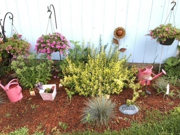 8 Pine Tree Trail Westford, MA 01886 - Photo 35 of 41