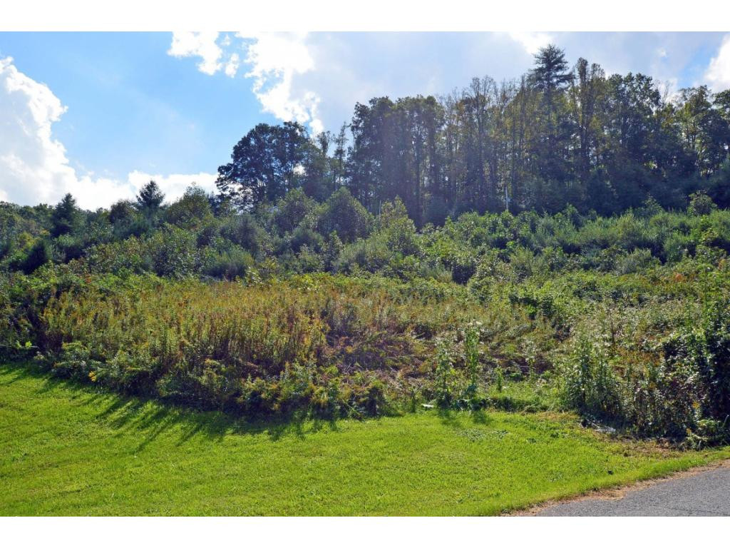 531 Piney Grove Road Hampton, TN 37658 - Photo 27 of 27 Property View from Piney Grove