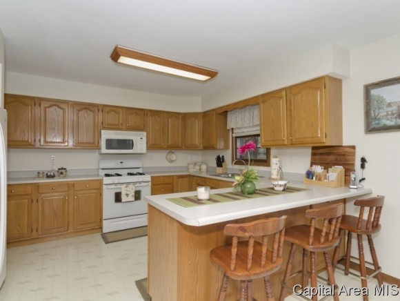 14332 Sandy Point Athens, IL 62613 - Photo 3 of 19 Gallery Image 3