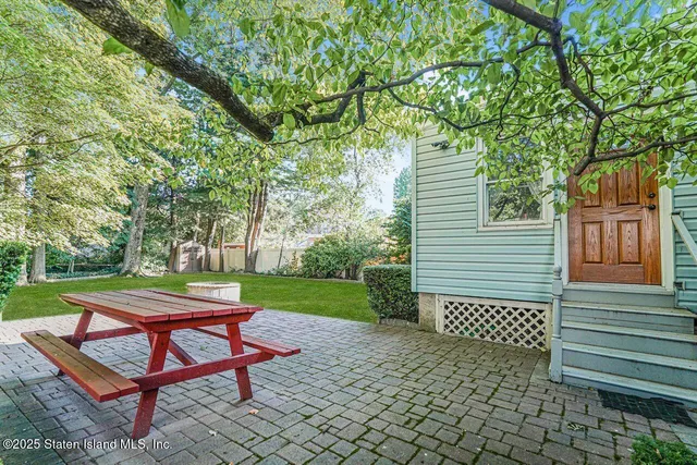 a view of a big yard with plants and large trees