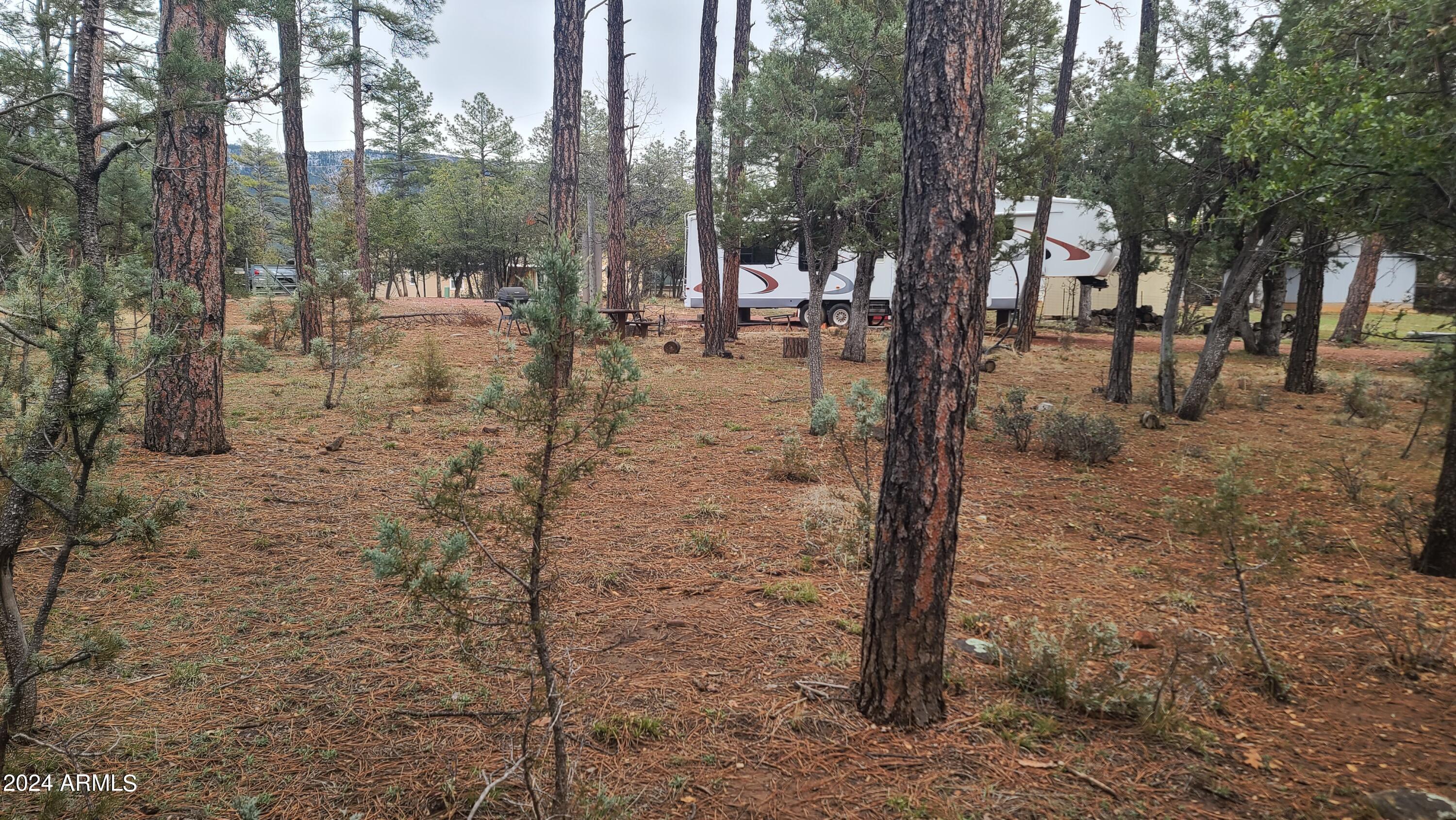 3962 Pine Road, Unit 9 Pine, AZ 85544 - Photo 4 of 35 Treed Lot