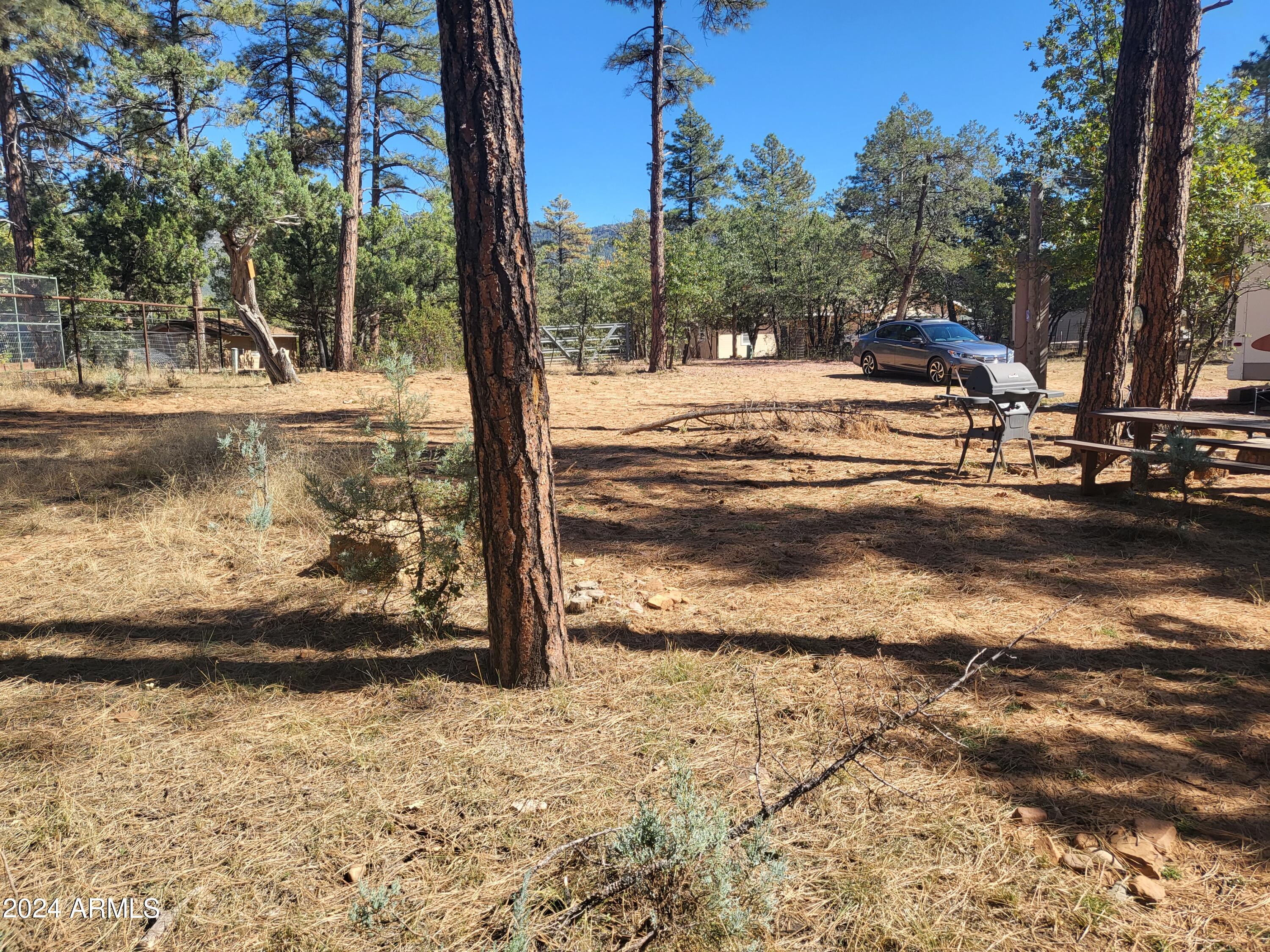 3962 Pine Road, Unit 9 Pine, AZ 85544 - Photo 10 of 35 Site Cleared