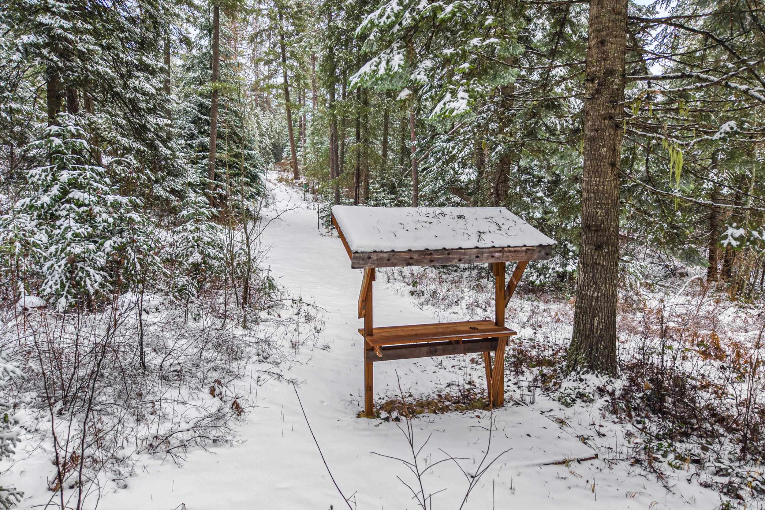 2542 Rocky Gorge Road Newport, WA 99156 - Photo 41 of 47