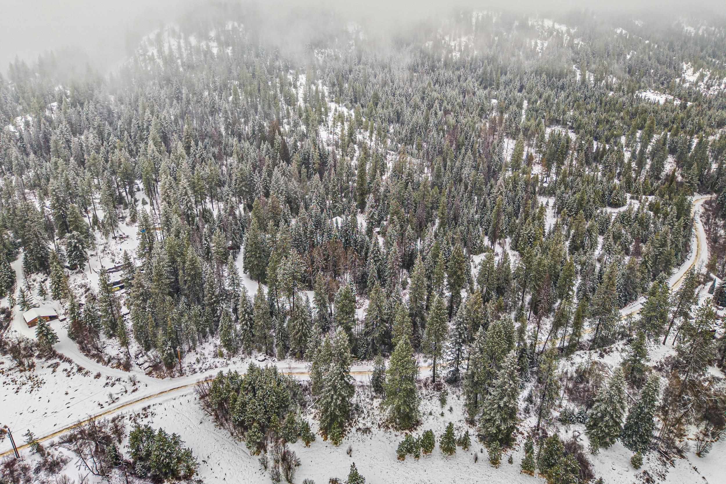 2542 Rocky Gorge Road Newport, WA 99156 - Photo 47 of 47