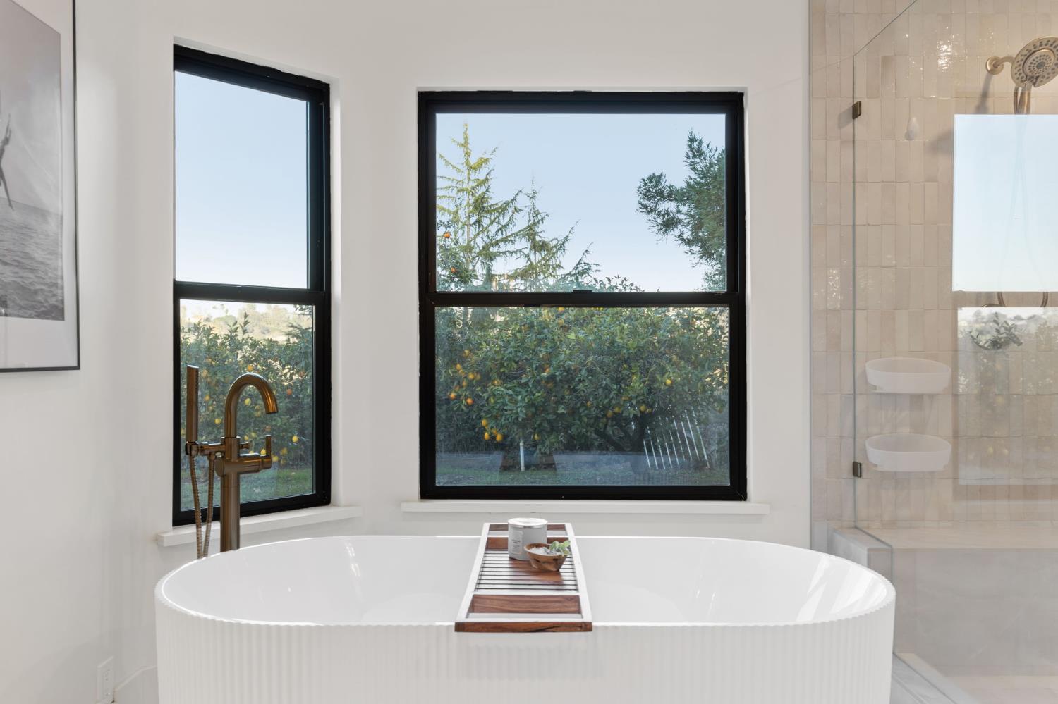 223 Spring Lane Newcastle, CA 95658 - Photo 35 of 81