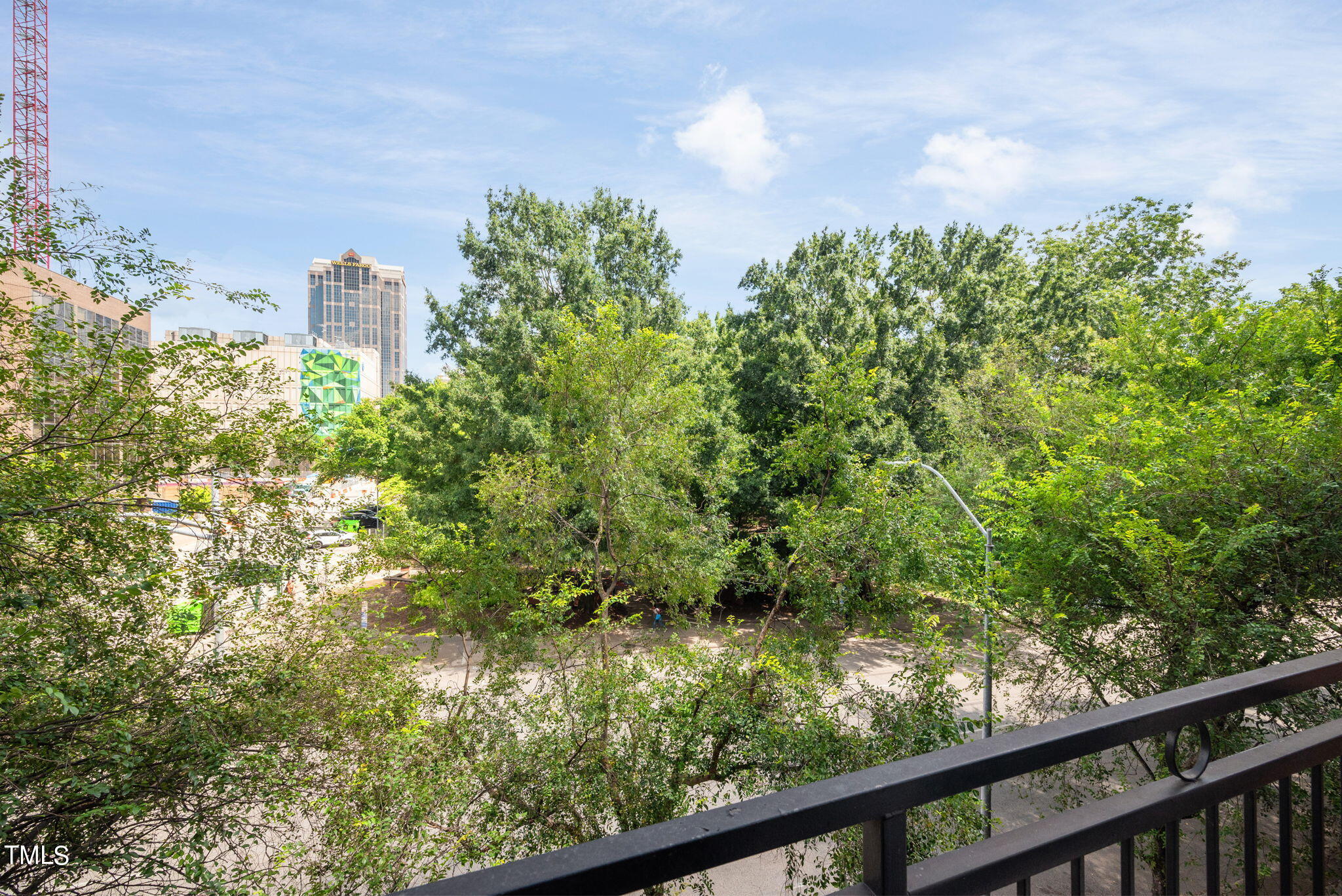 200 South Dawson Street, Unit 201 Raleigh, NC 27601 - Photo 32 of 39 a view of a forest from a balcony
