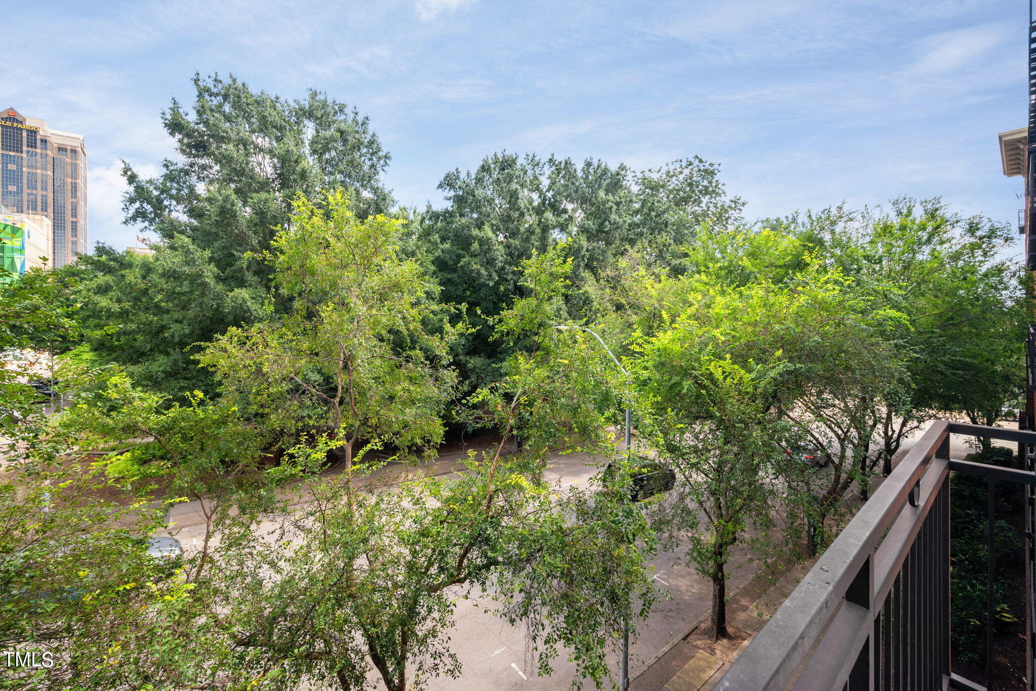 200 South Dawson Street, Unit 201 Raleigh, NC 27601 - Photo 34 of 39 a view of a garden