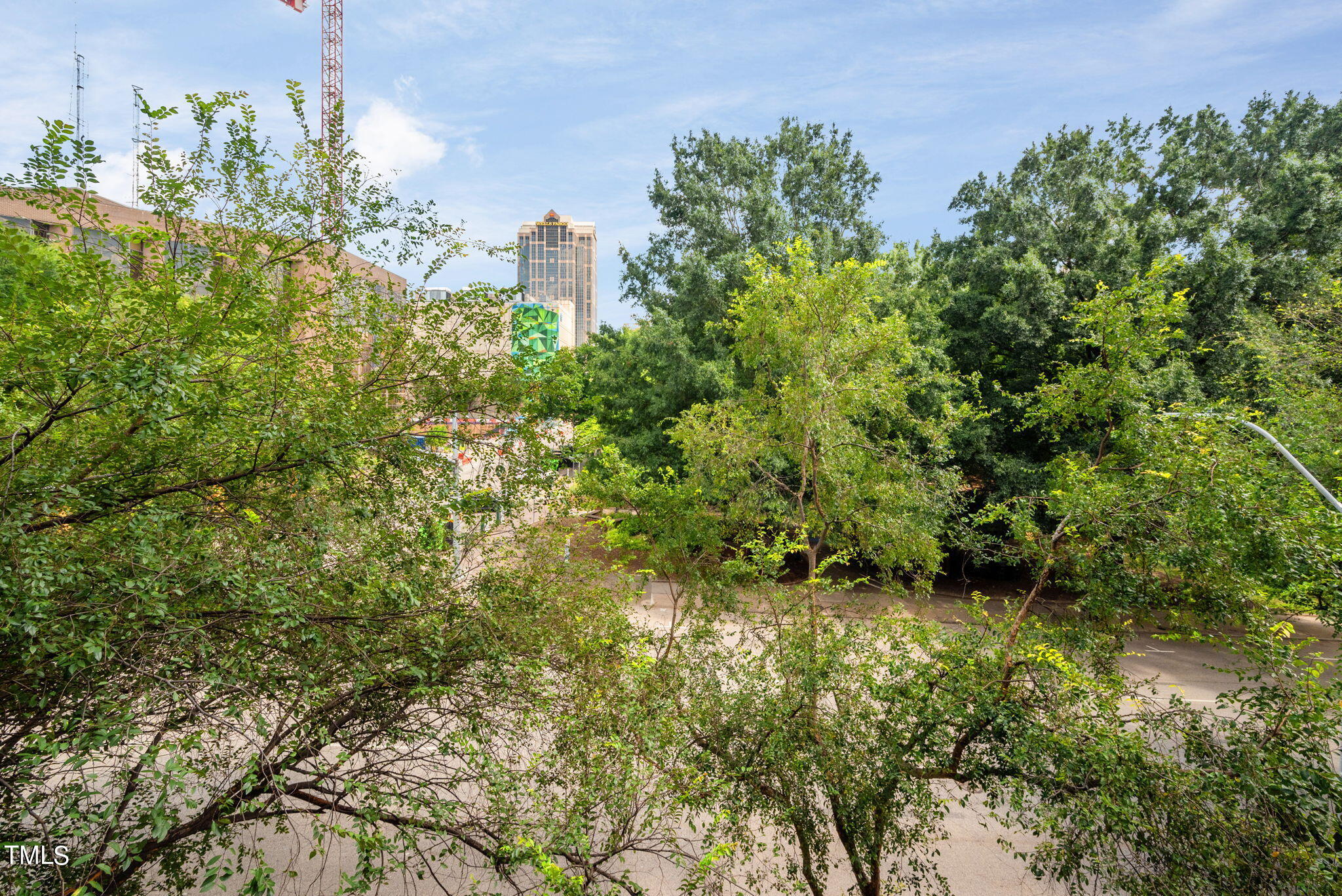 200 South Dawson Street, Unit 201 Raleigh, NC 27601 - Photo 35 of 39 a view of a garden with a tree