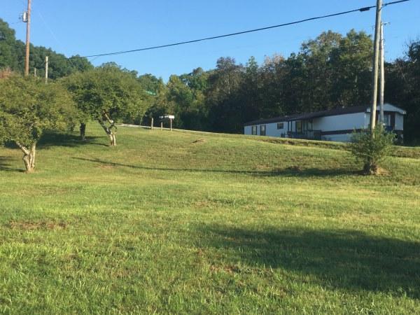 6163 Modoc Road Burkesville, KY 42717 - Photo 5 of 20 IMG (39)