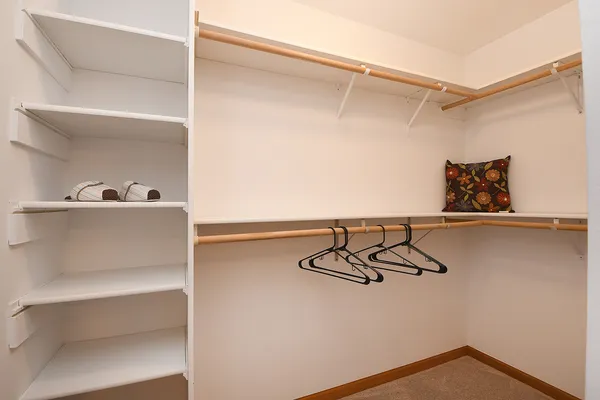 a view of a closet with storage