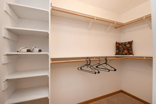a view of a closet with storage