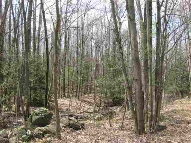0 Roaser Road Sand Lake, NY 12153 - Photo 3 of 3 Photo 3