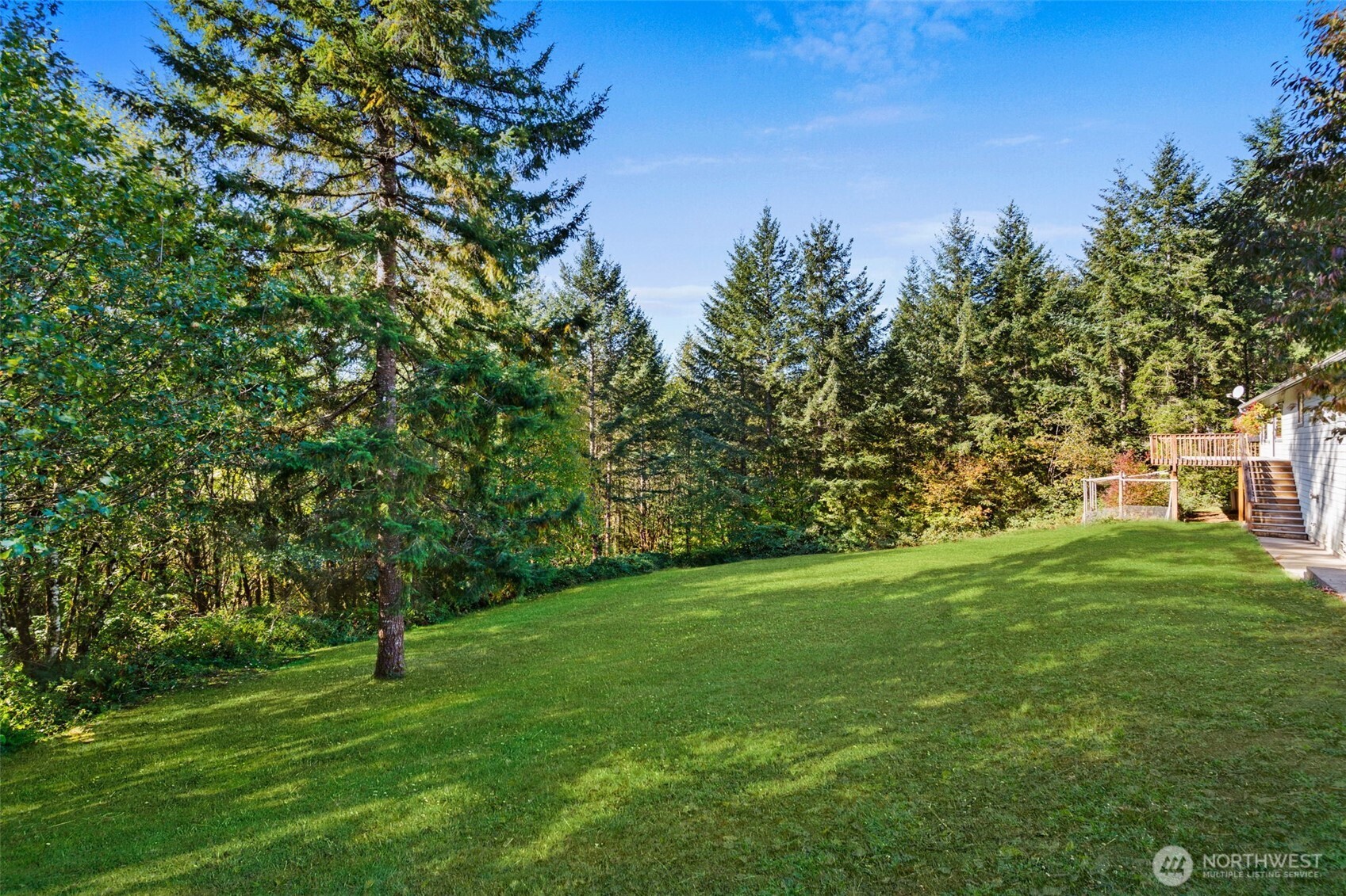 27 Otter Lane Elma, WA 98541 - Photo 24 of 31 a green field with lots of trees in it