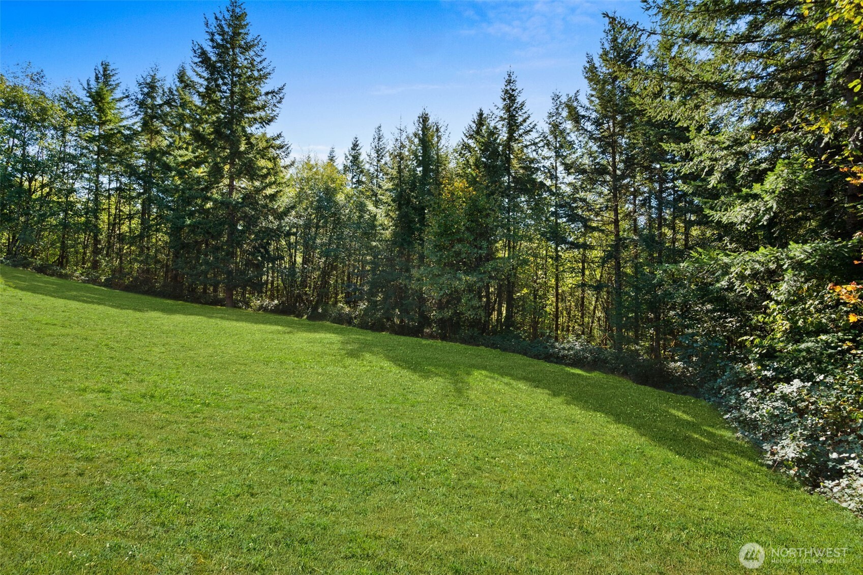 27 Otter Lane Elma, WA 98541 - Photo 25 of 31 a view of a trees with a yard