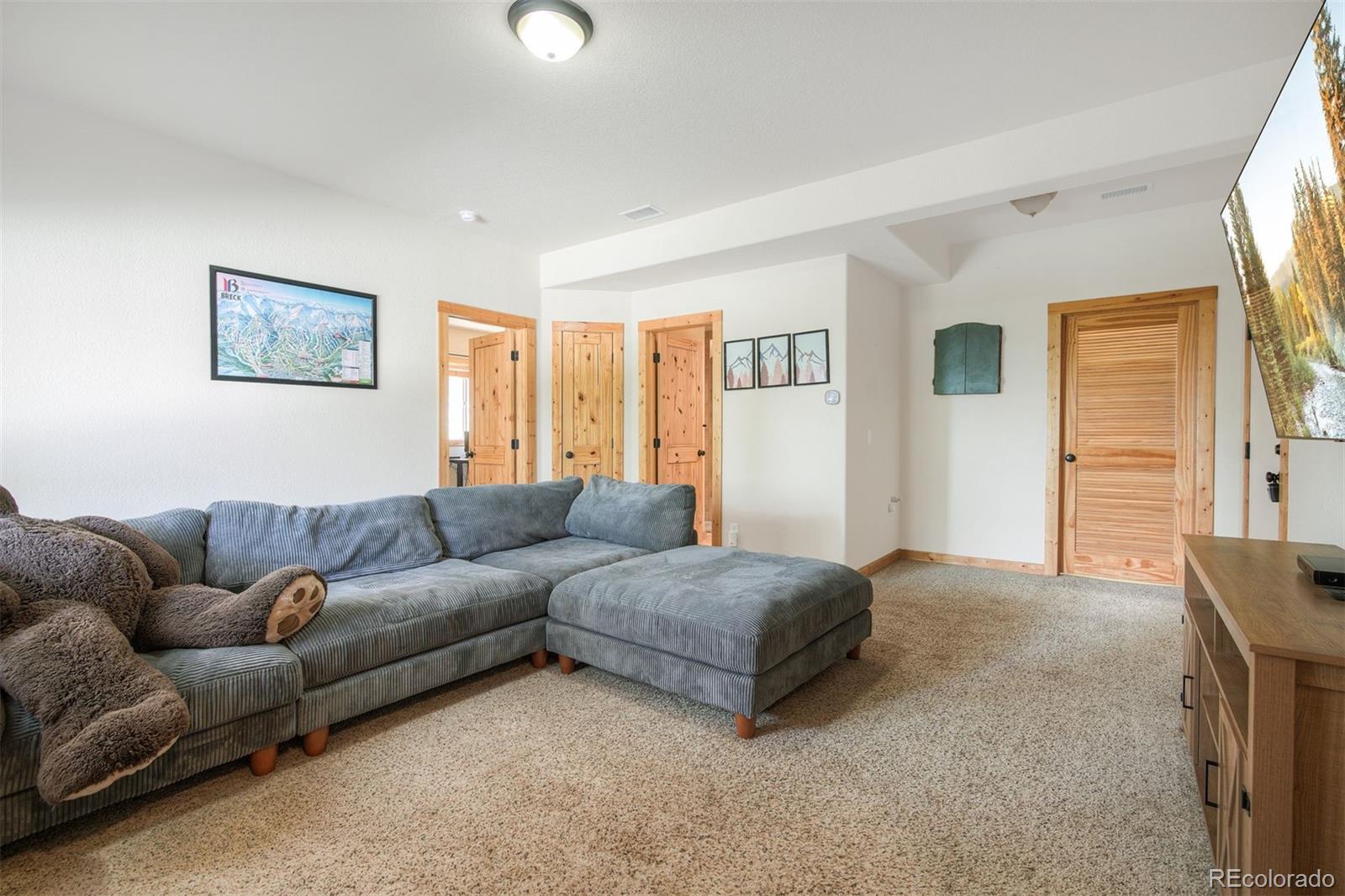 272 Porcupine Road Fairplay, CO 80440 - Photo 18 of 35 Gallery Image 18