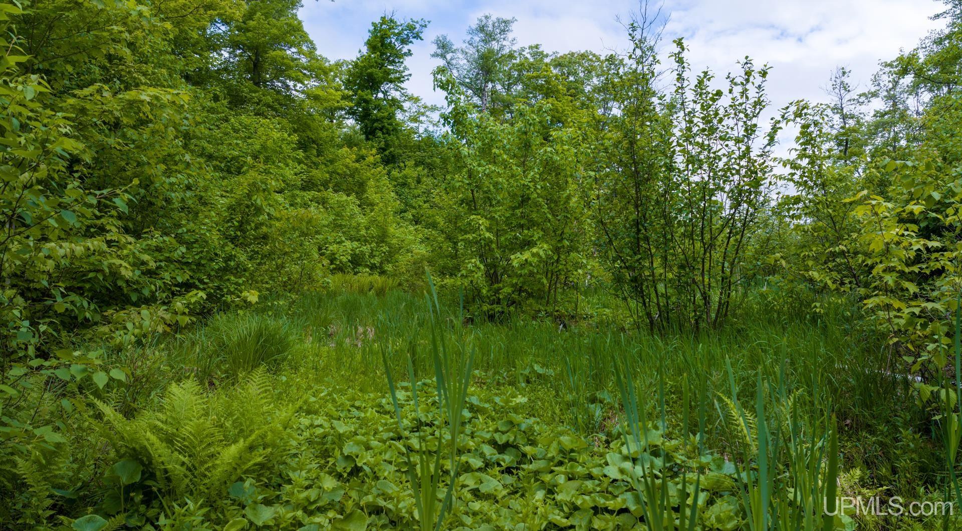 Tbd Tbd Co Road Negaunee, MI 49866 - Photo 14 of 47