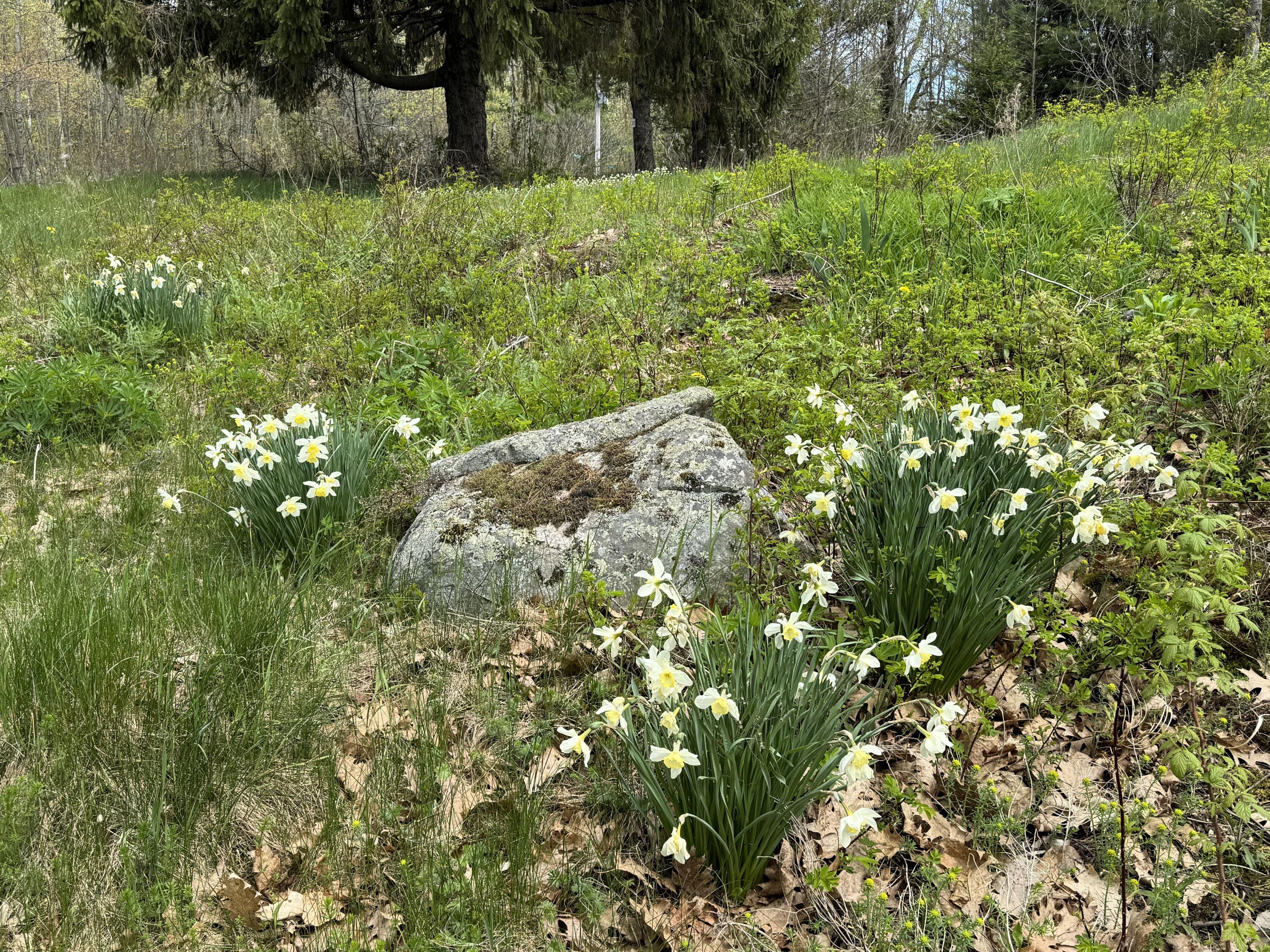 237 Bangor Road Unity, ME 04988 - Photo 65 of 69 Flower Beds