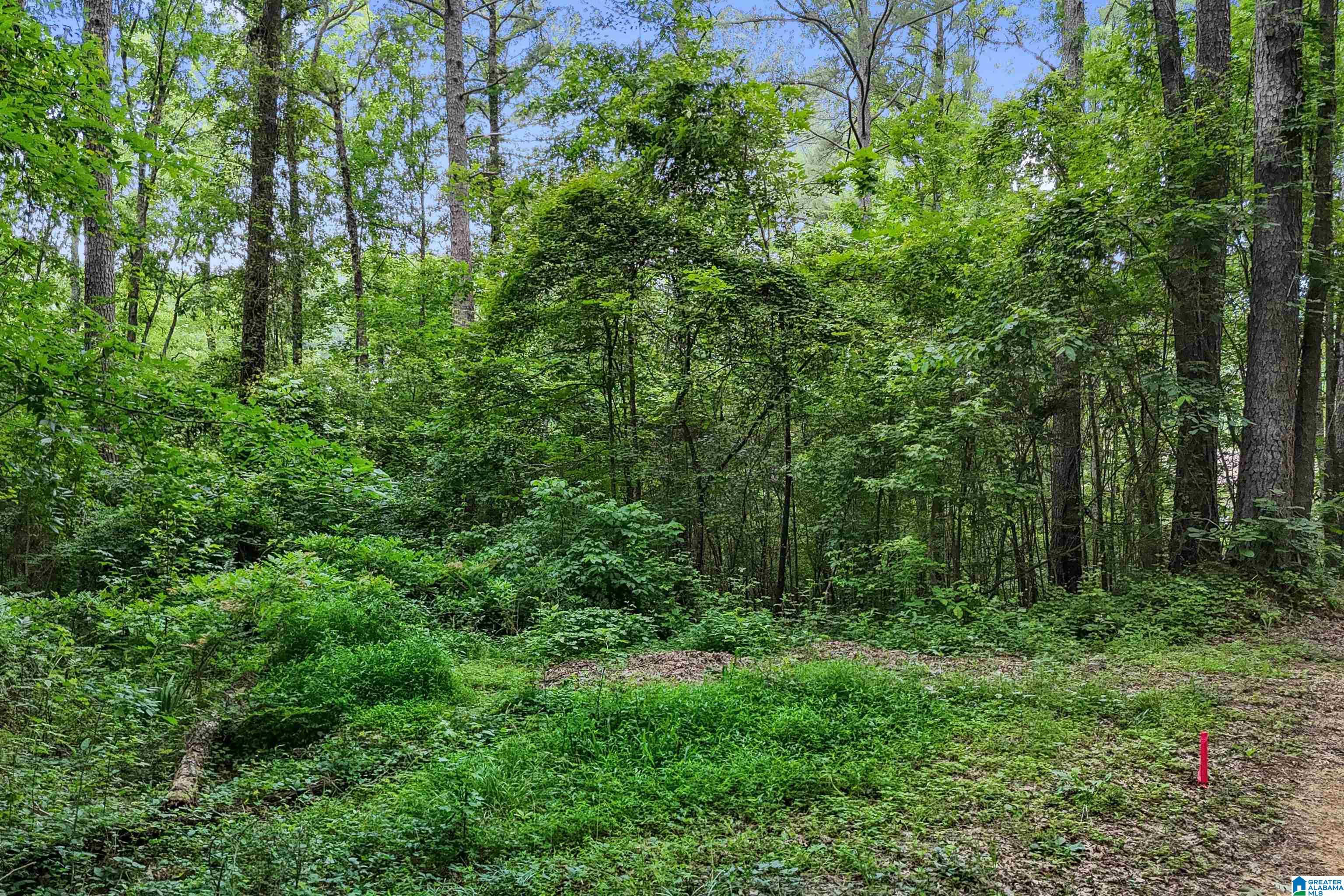 0 Red Oak Circle Helena, AL 35080 - Photo 18 of 21