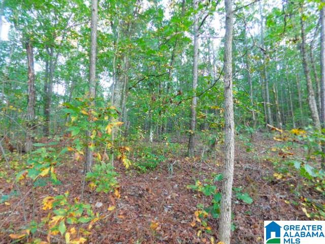 Lot 16 Williams Road, Unit 16 48 WEST SUBD PHASE I Lineville, AL 36266 - Photo 1 of 1