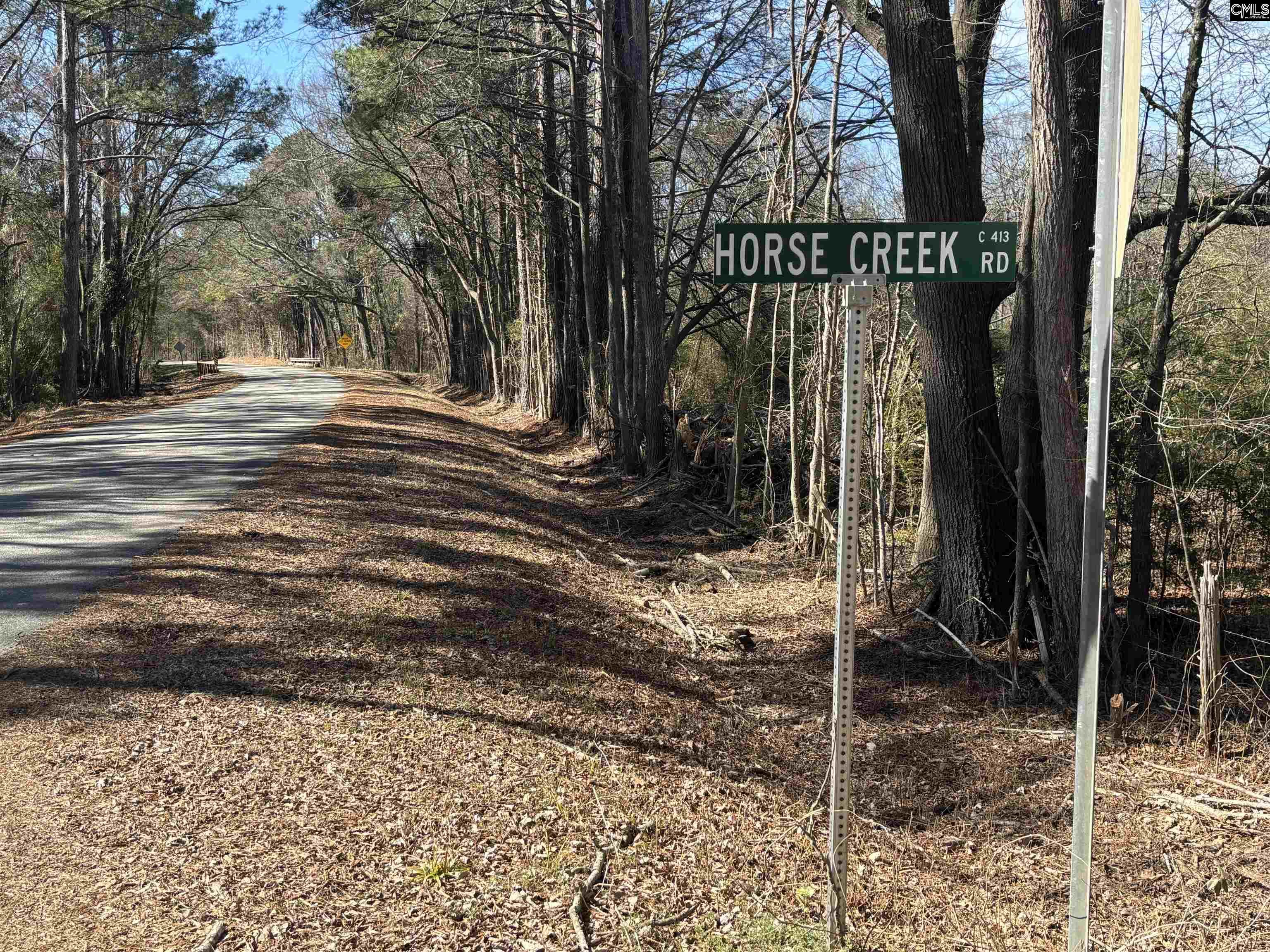 0 Bethany Road Saluda, SC 29138 - Photo 2 of 24