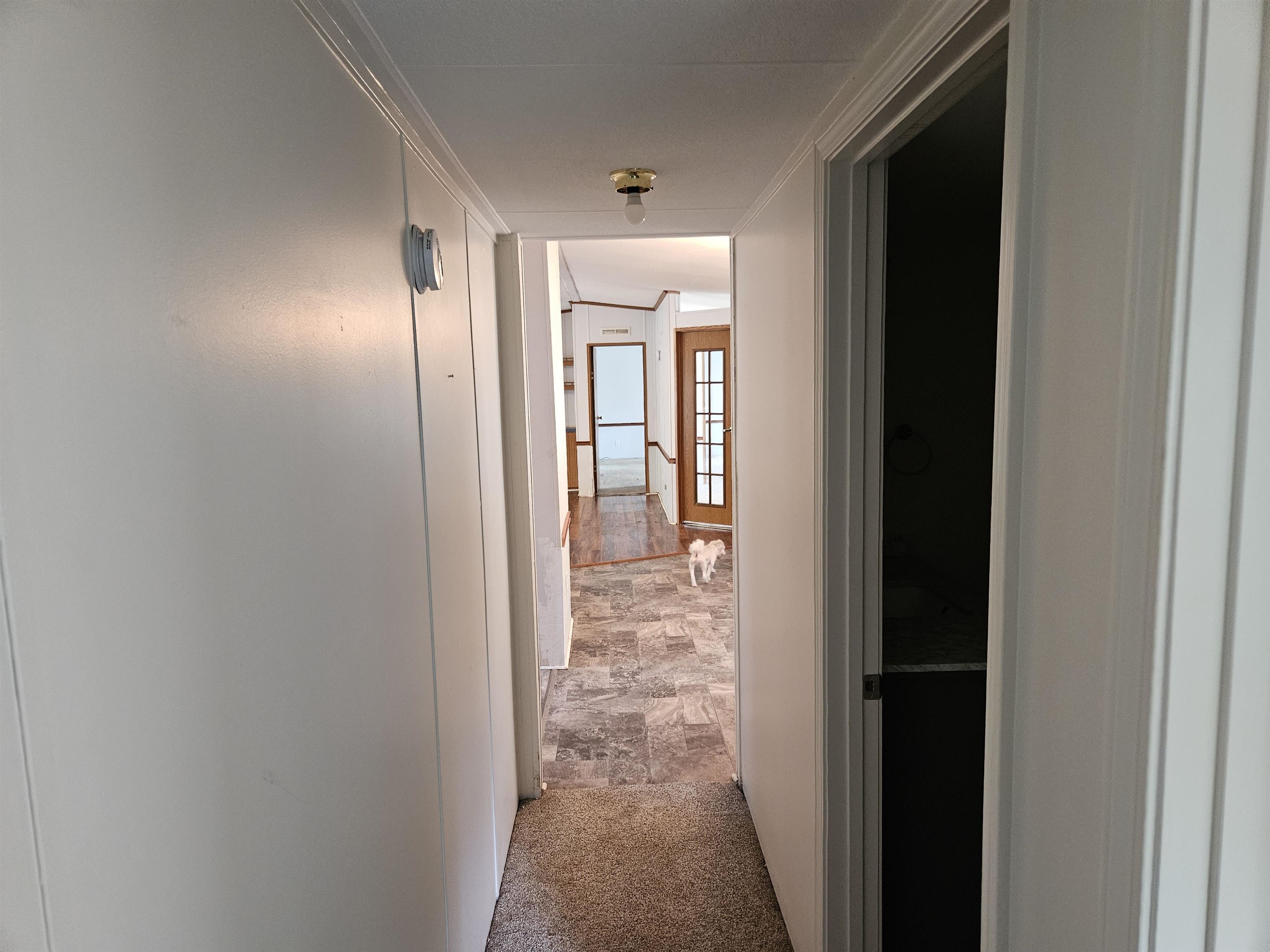 3713 Matt Wing Road Tallahassee, FL 32311 - Photo 30 of 36 Gallery Image 30
