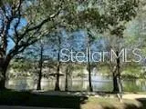 a view of a yard