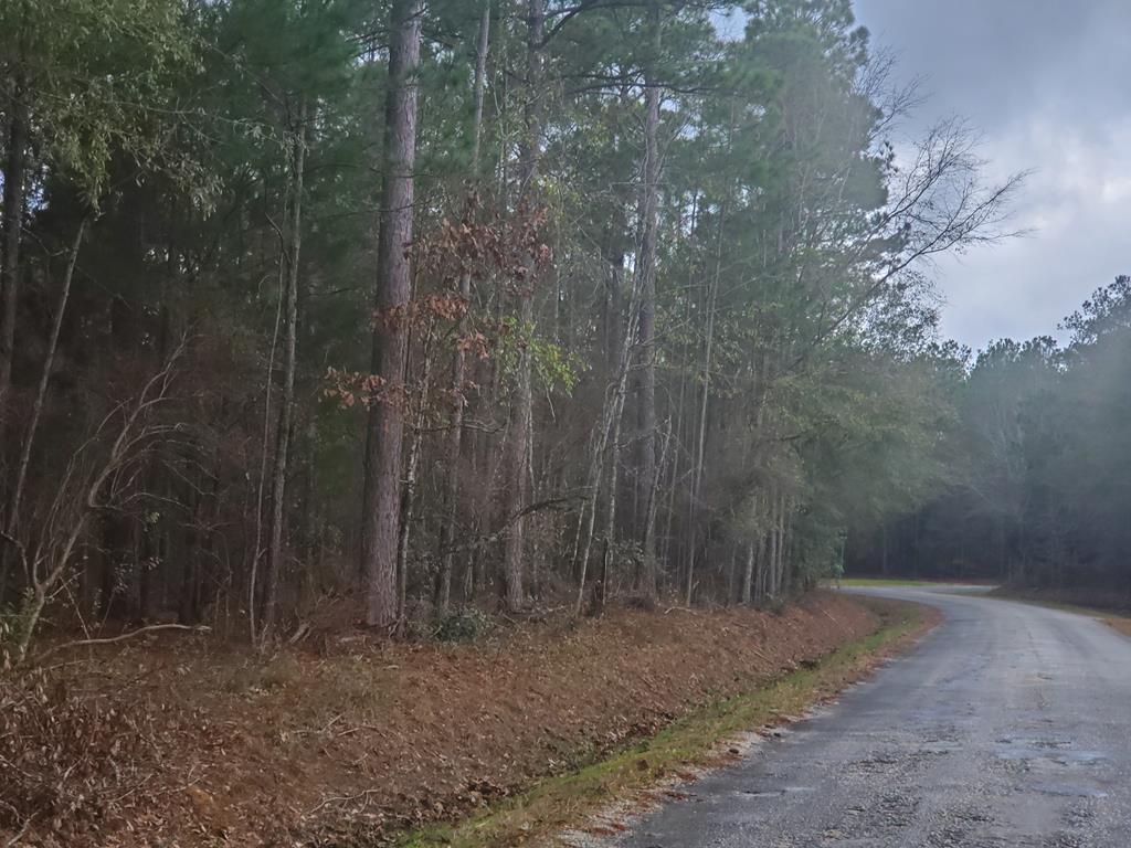 0 Miller Road Abbeville, AL 36310 - Photo 1 of 1