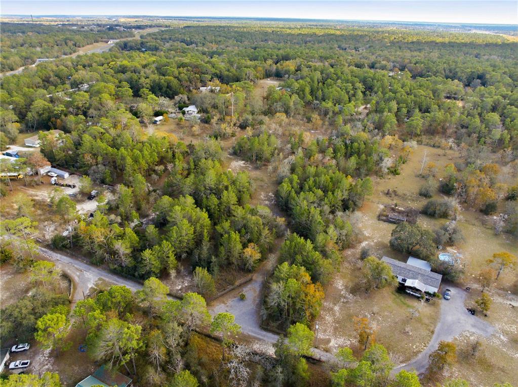 0 Backwoods Way Brooksville, FL 34614 - Photo 12 of 16 a view of a forest with a forest