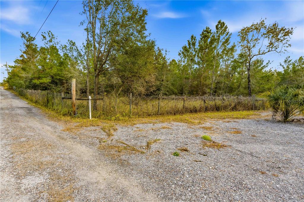 0 Backwoods Way Brooksville, FL 34614 - Photo 4 of 16 a view of a yard with trees