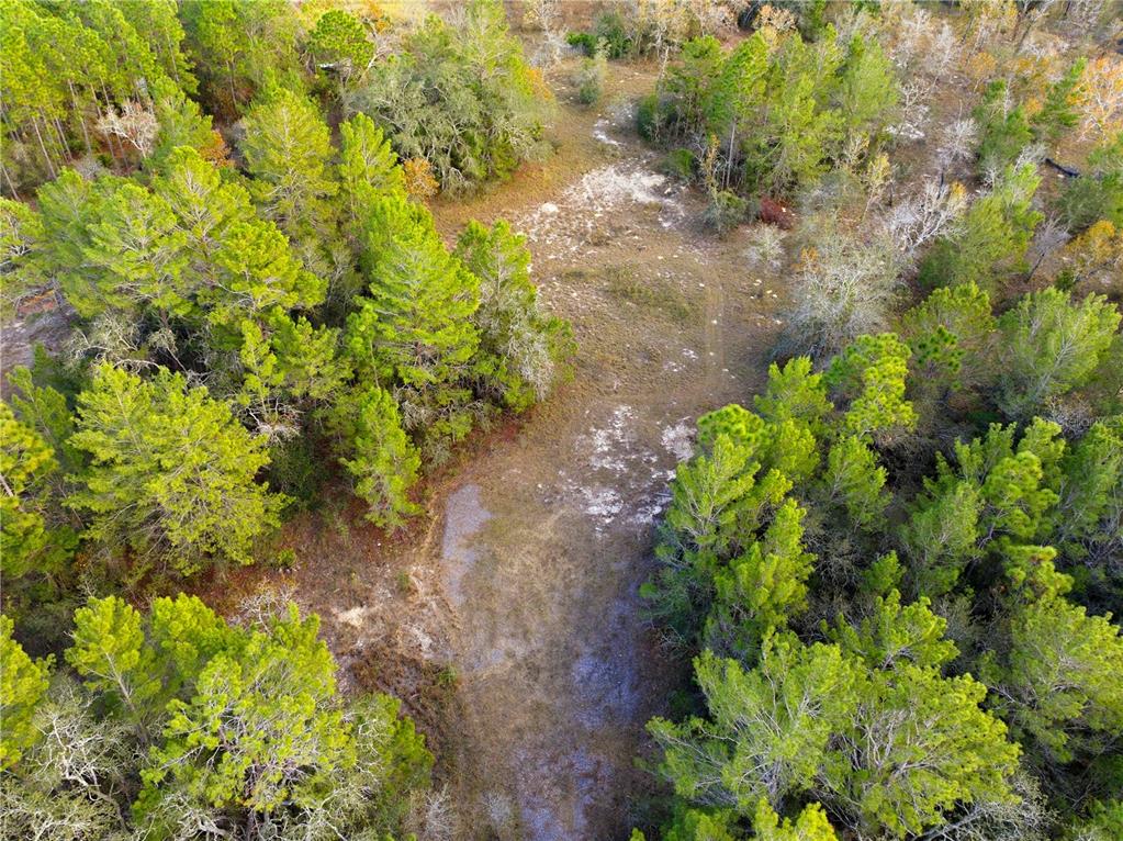 0 Backwoods Way Brooksville, FL 34614 - Photo 6 of 16 a backyard of a house with lots of green space