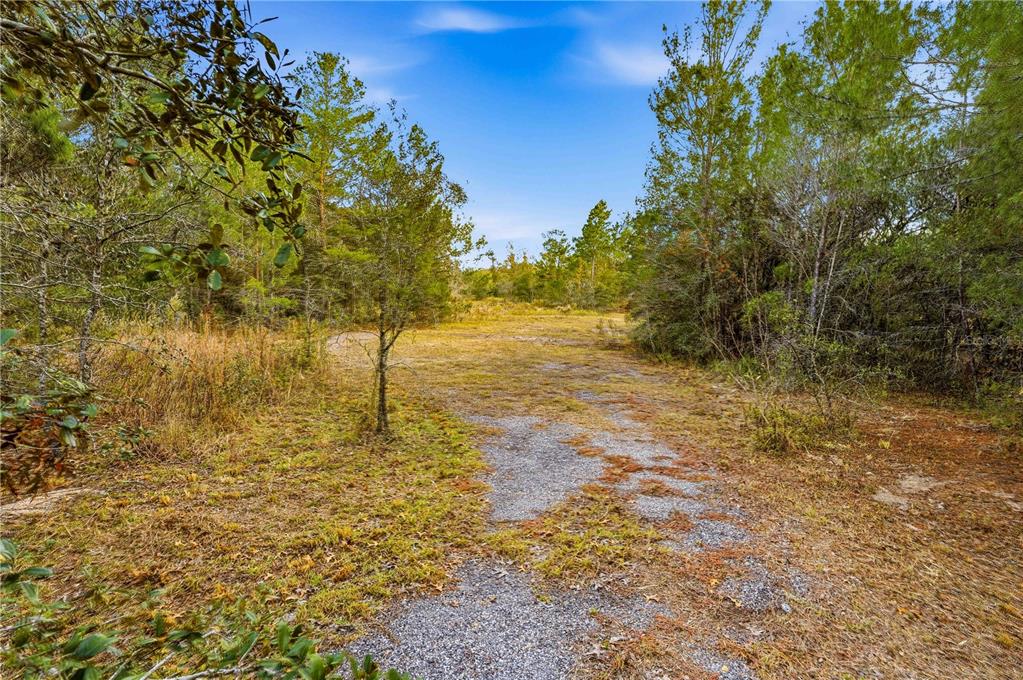 0 Backwoods Way Brooksville, FL 34614 - Photo 7 of 16 a view of a yard with an trees
