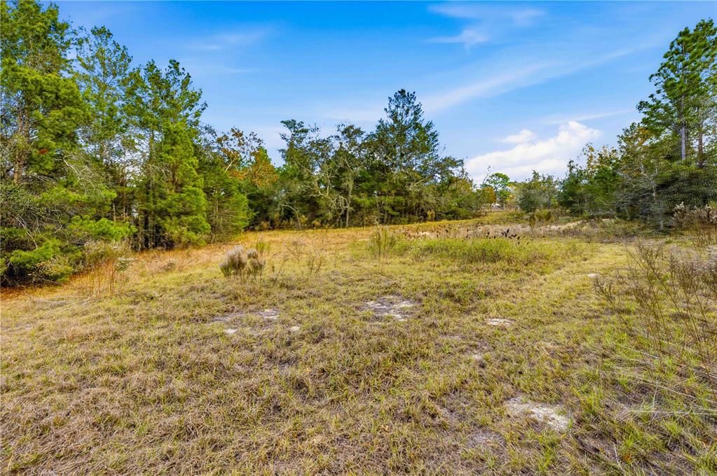 0 Backwoods Way Brooksville, FL 34614 - Photo 8 of 16 a view of ocean view