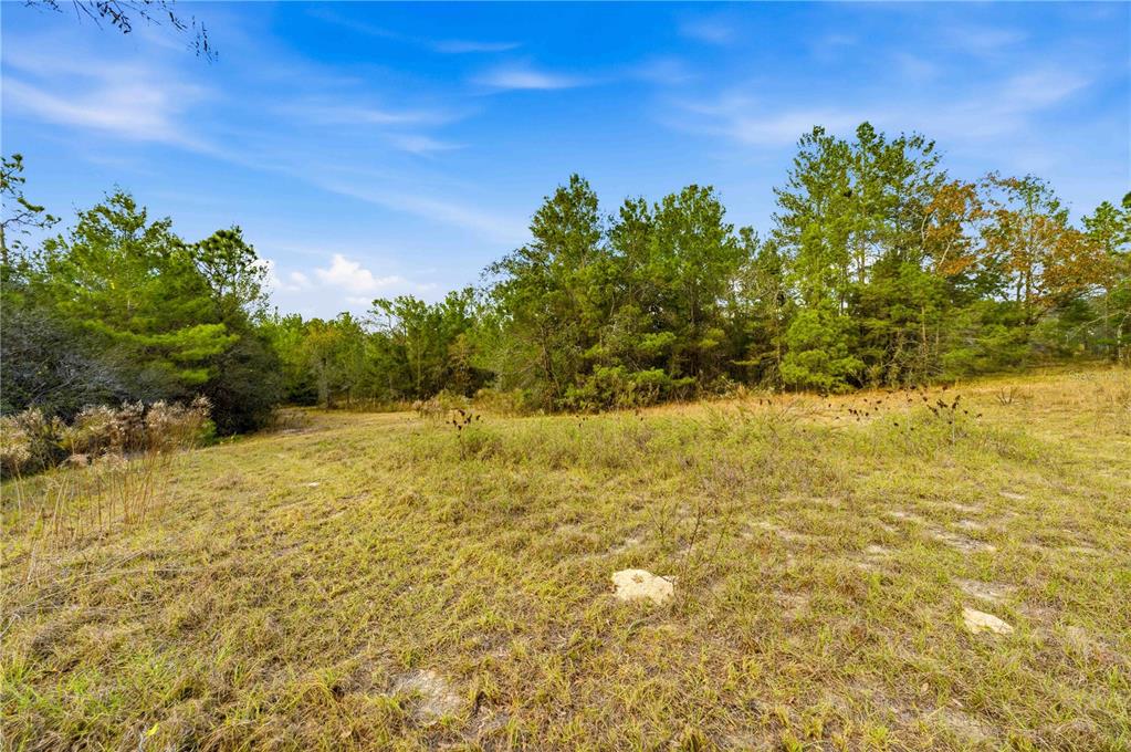 0 Backwoods Way Brooksville, FL 34614 - Photo 9 of 16 a view of a yard with an outdoor space