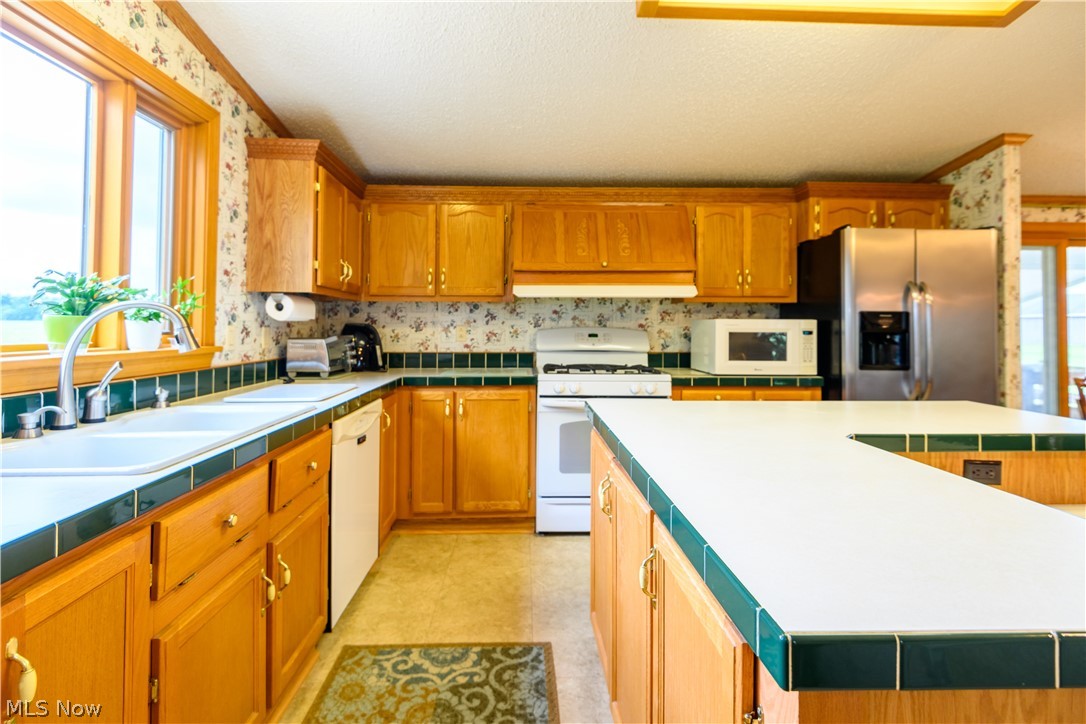 10747 Jones Road Litchfield, OH 44253 - Photo 17 of 31 Gallery Image 17