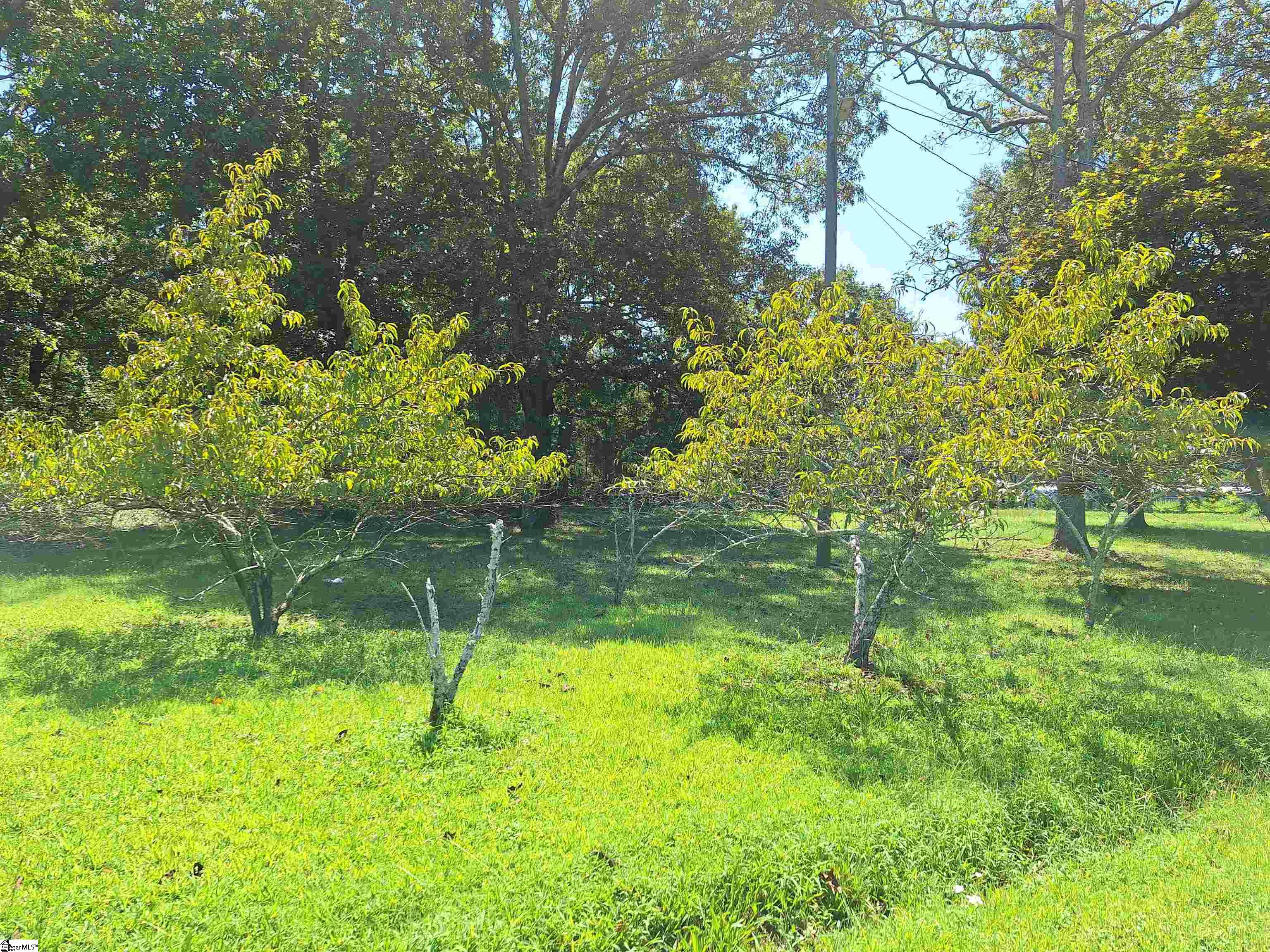 303 Flatrock Road Anderson, SC 29624 - Photo 26 of 36