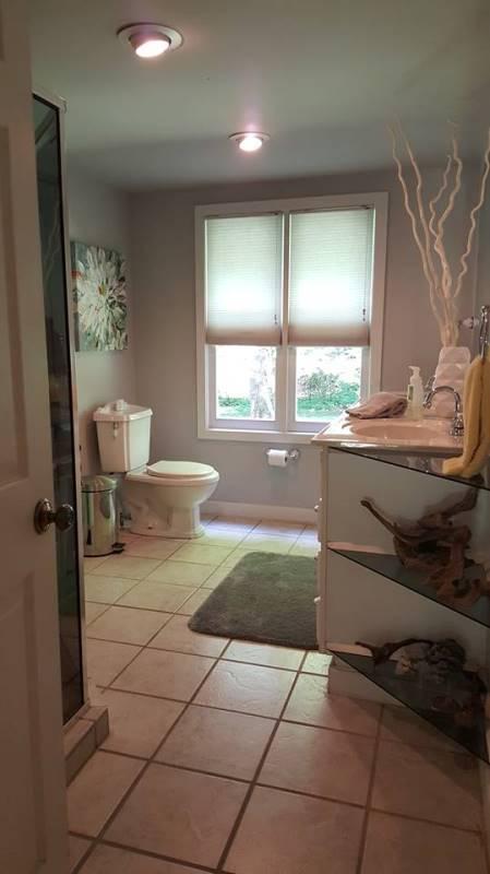 429 Roland Branch Road Henry, VA 24102 - Photo 14 of 33 a bathroom with a sink a toilet and a window