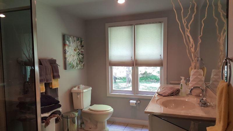 429 Roland Branch Road Henry, VA 24102 - Photo 16 of 33 a bathroom with a sink toilet and a mirror