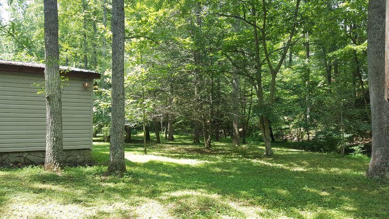 429 Roland Branch Road Henry, VA 24102 - Photo 28 of 33 a view of outdoor space
