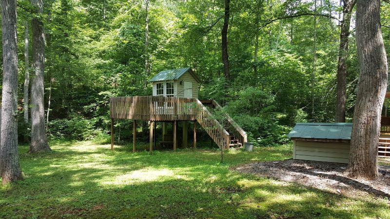 429 Roland Branch Road Henry, VA 24102 - Photo 29 of 33 a backyard of a house with plants and large trees