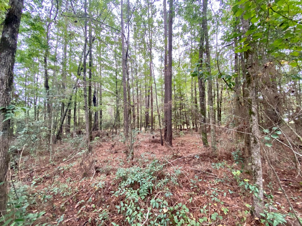 796 Montgomery Road Southwest Bogue Chitto, MS 39629 - Photo 20 of 27 Photo 20