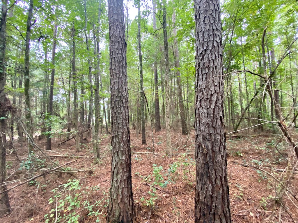 796 Montgomery Road Southwest Bogue Chitto, MS 39629 - Photo 21 of 27 Photo 21